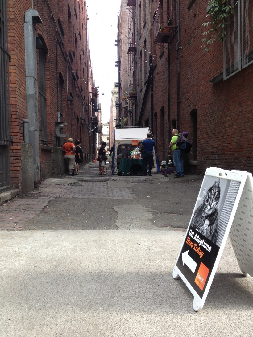 nord alley - 1st ave s & occidental ave s - and the ever popular kitten kissing booth