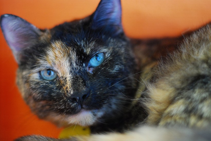 content on her wall shelf