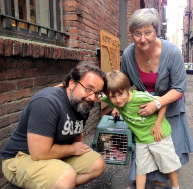 kitten duo going to their new home.